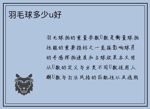 羽毛球多少u好